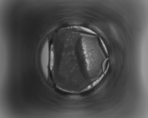 X0000087620637200705252003