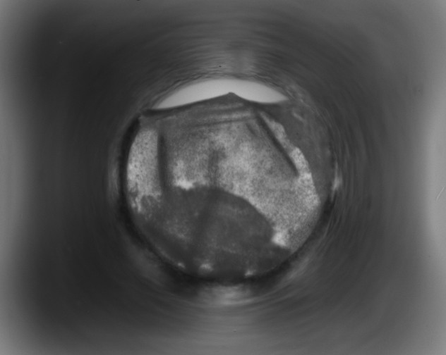 X0000087620638200705252003