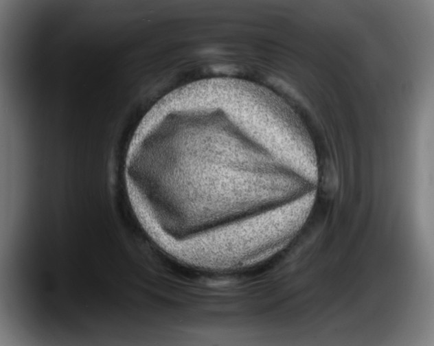 X0000087620639200705252003