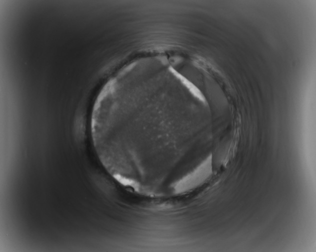 X0000087620640200705252003