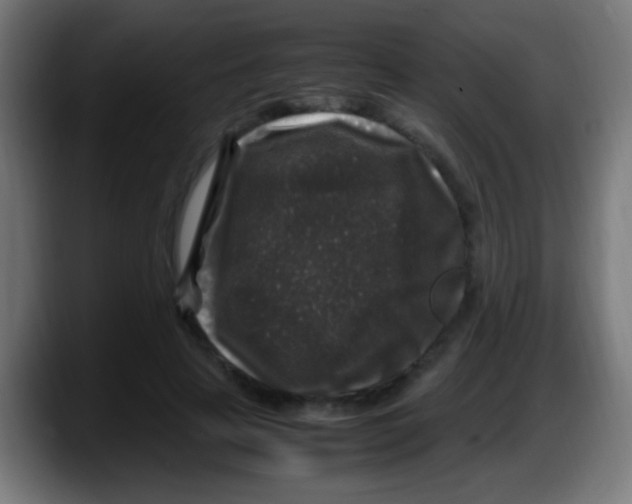 X0000087620641200705252003