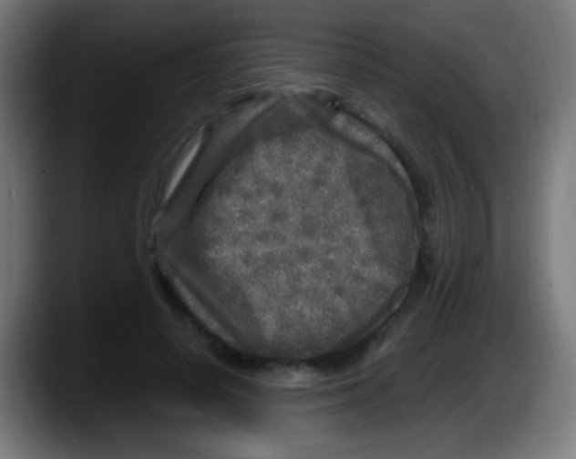 X0000087620642200705252003
