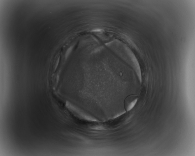X0000087620643200705252003