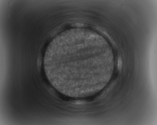 X0000087620645200705252003