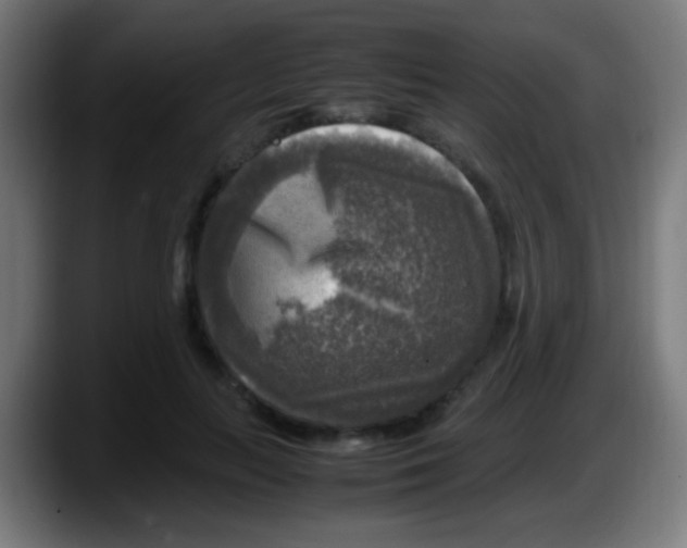 X0000087620647200705252003