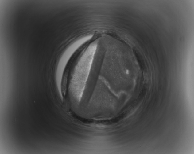 X0000087620648200705252003