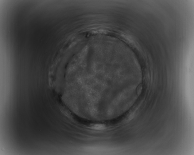 X0000087620649200705252003