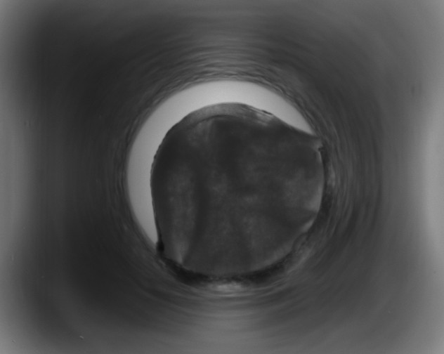 X0000087620650200705252003