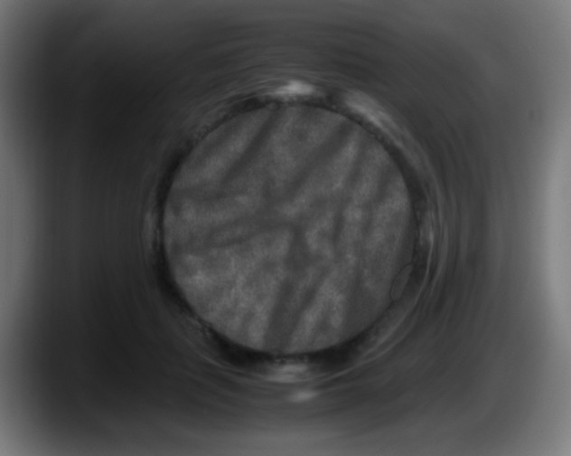 X0000087620651200705252003
