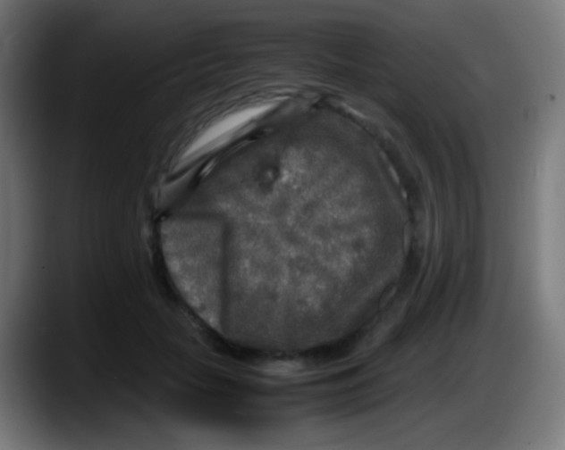 X0000087620653200705252003