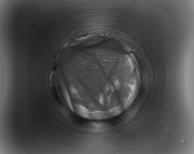 X0000087620654200705252003