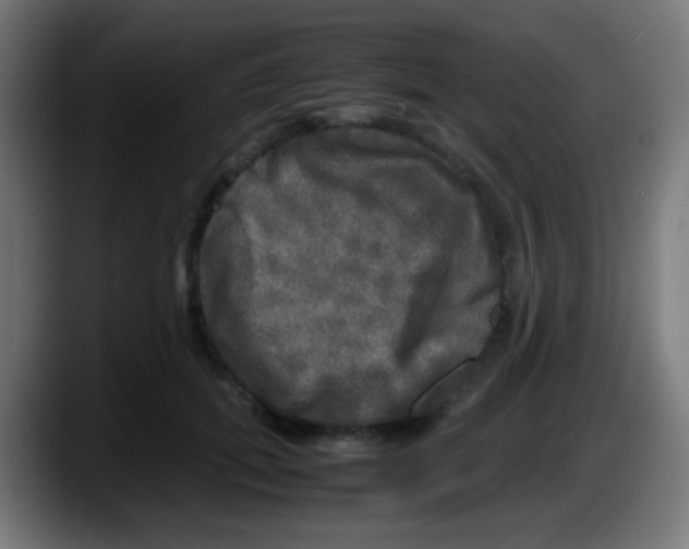 X0000087620655200705252003