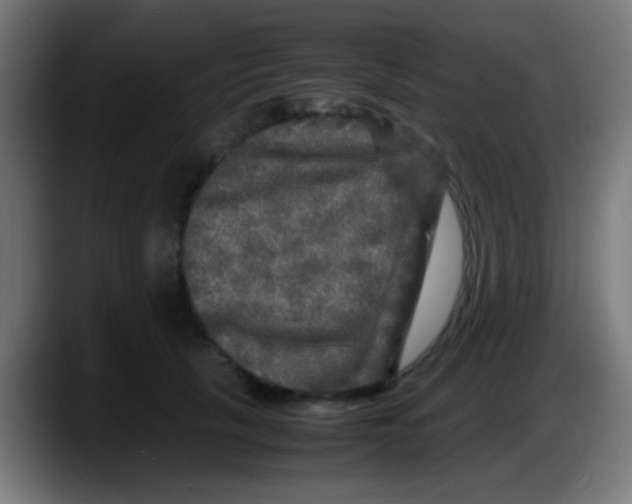 X0000087620657200705252003