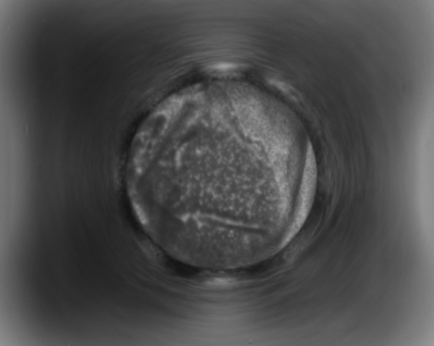 X0000087620658200705252003