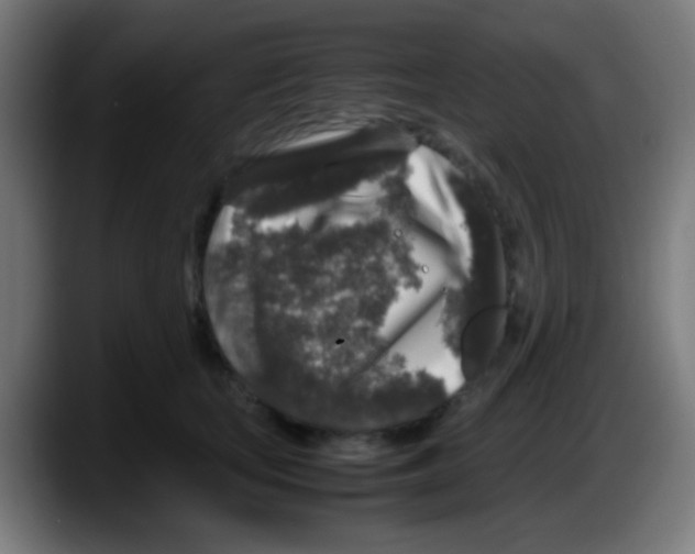 X0000087620659200705252003