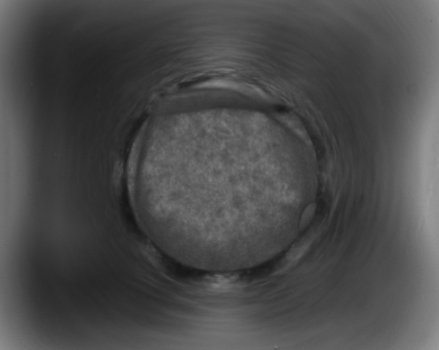 X0000087620660200705252003