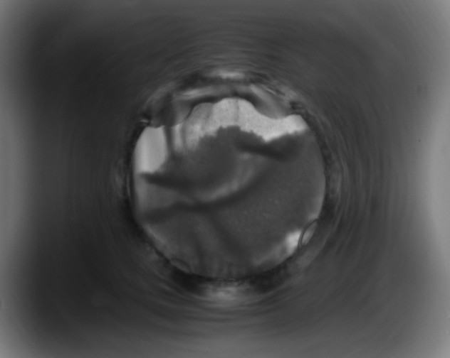 X0000087620661200705252003