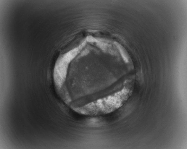 X0000087620662200705252003
