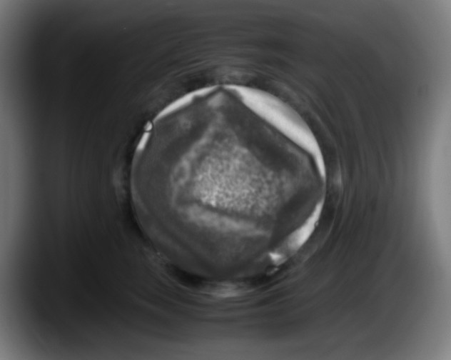 X0000087620663200705252003
