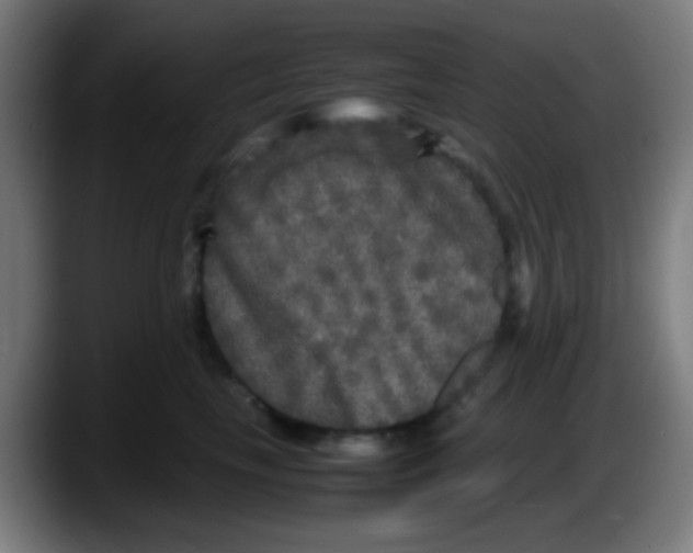 X0000087620665200705252003