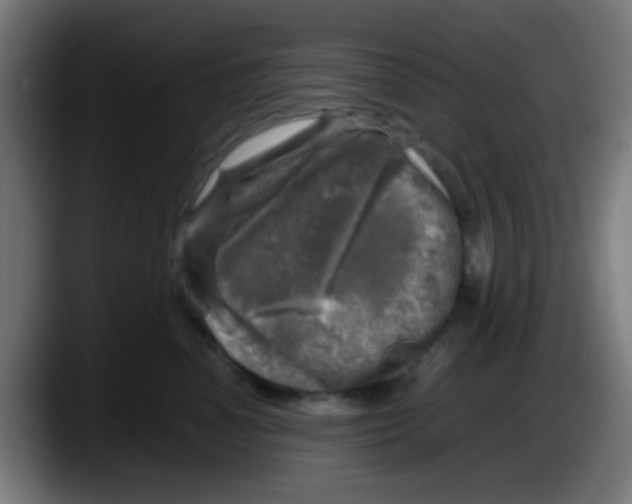 X0000087620666200705252003