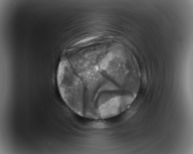 X0000087620668200705252003