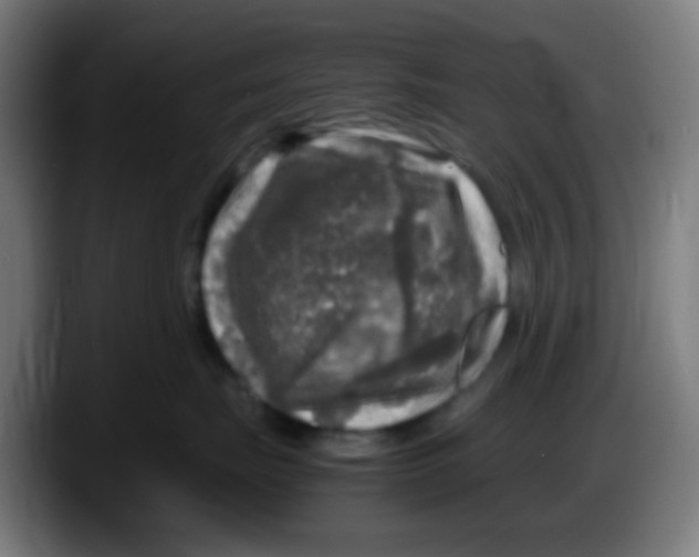 X0000087620671200705252004