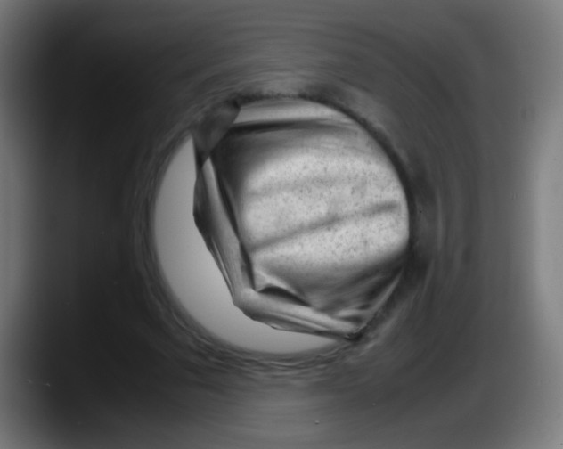 X0000087620681200705252003