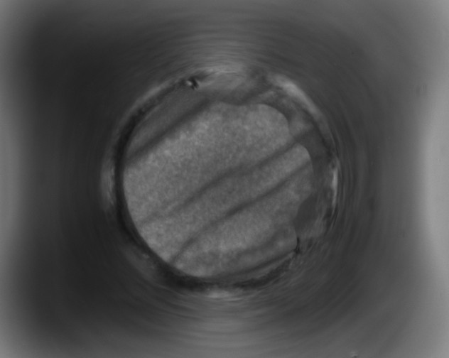 X0000087620684200705252003