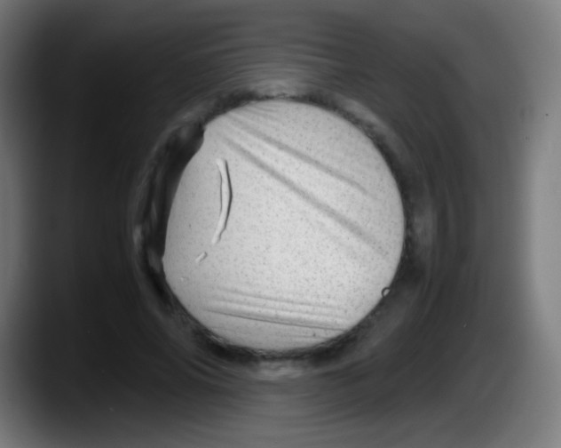 X0000087620686200705252003