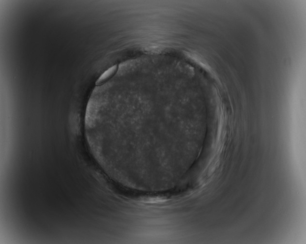 X0000087620689200705252003