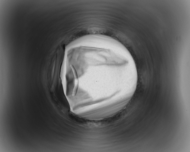 X0000087620690200705252003