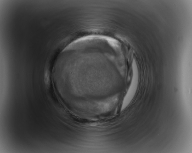 X0000087620692200705252003