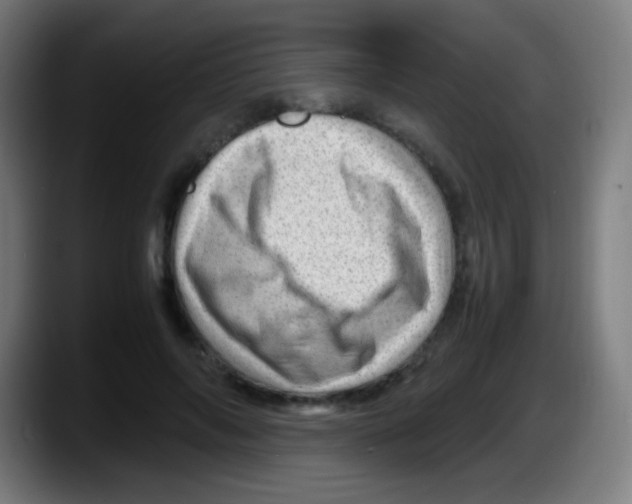 X0000087620694200705252003