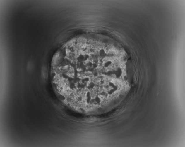 X0000087620695200705252003