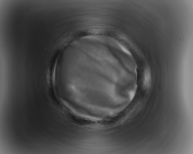 X0000087620696200705252003