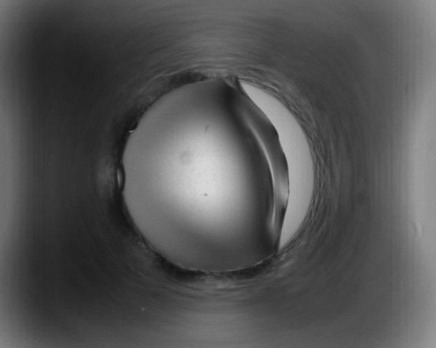 X0000087620697200705252003