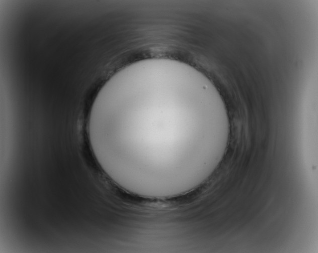 X0000087620698200705252003