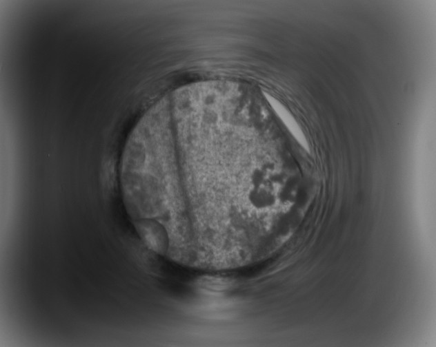 X0000087620699200705252003