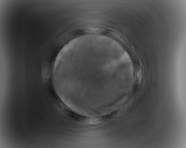 X0000087620701200705252003
