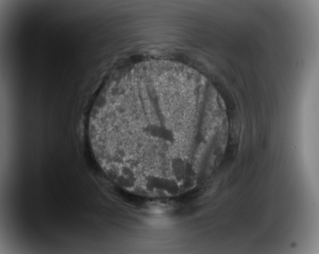X0000087620703200705252003
