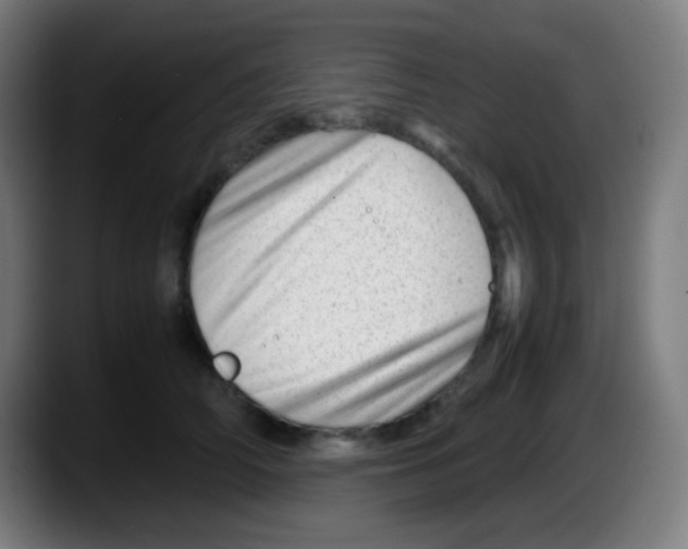X0000087620706200705252002