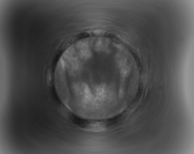 X0000087620709200705252002