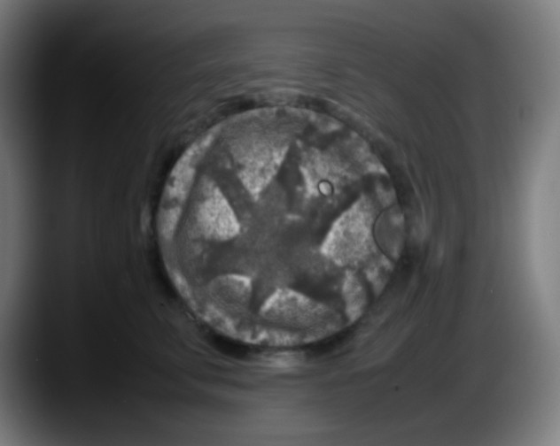 X0000087620711200705252002