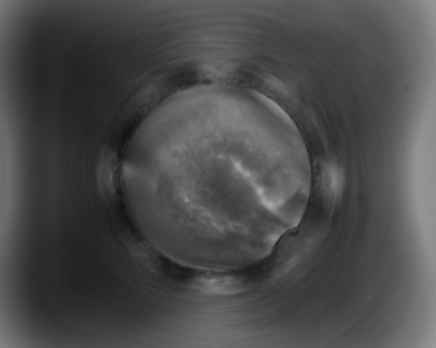 X0000087620712200705252002