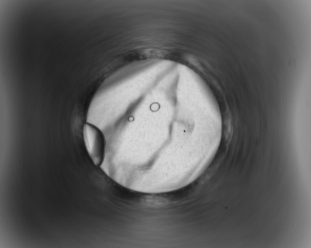 X0000087620714200705252002