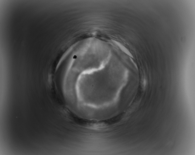 X0000087620716200705252002