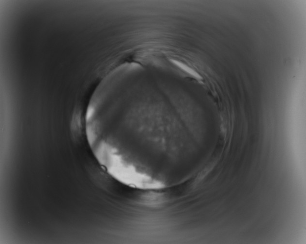 X0000087620718200705252002