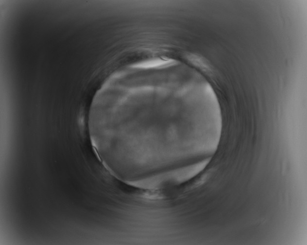 X0000087620720200705252002