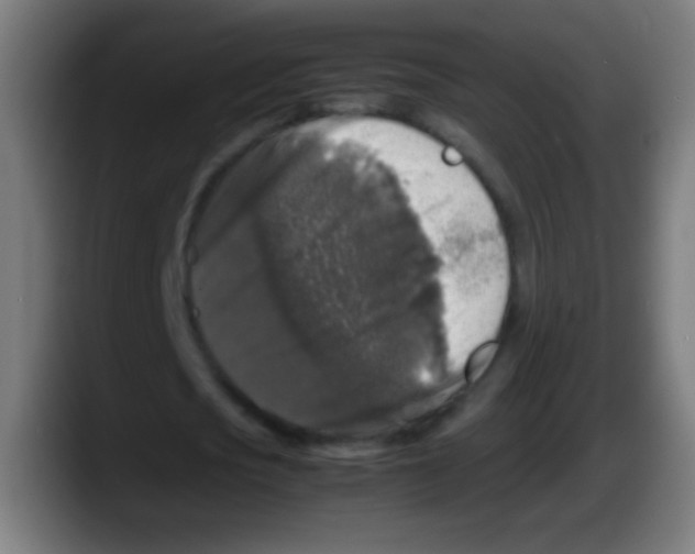 X0000087620721200705252002